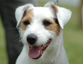 JRT