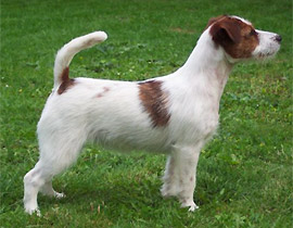 JRT
