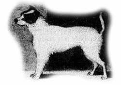 JRT